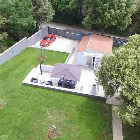 In Park Forest Soline Near The Sea